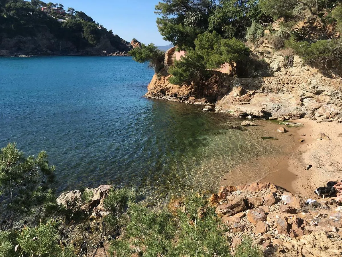 Apartment Sol Naixent Plage Sa Riera Begur Spain